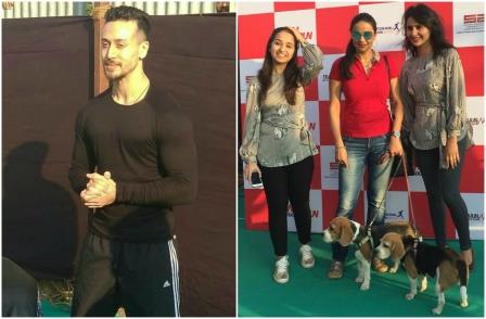 newztabloid-Sai-Estate-Petathon-Tiger-Shroff-Gul-Panag-Amit-Wadhwani-filmy-buster-cinemawallah