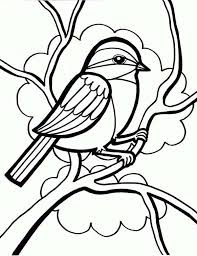 Cute Little Bird Coloring Sheet For Kids