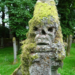 A close up photo of the lichen covered skull.  Photograph taken by Kevin Nosferatu for the Skulferatu Project.