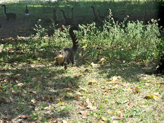 Parque Ecológico do Tietê