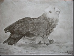 kids art 053