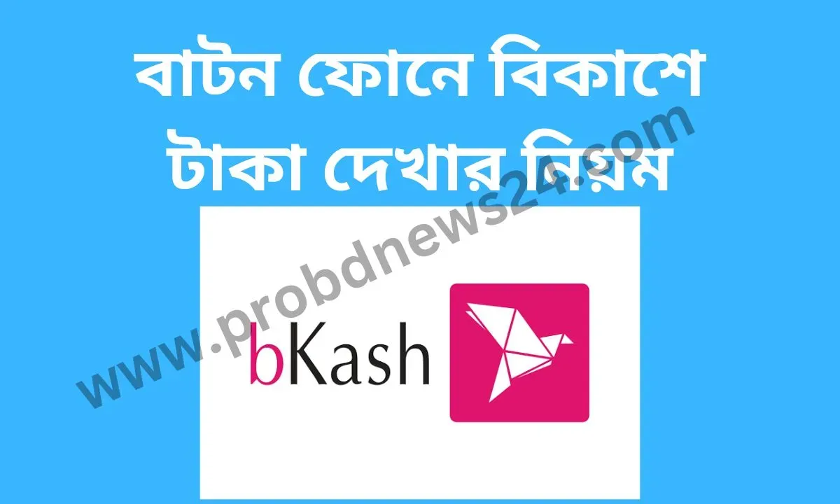 buttom-phone-e-Bkashe-taka-dekhar-niyom