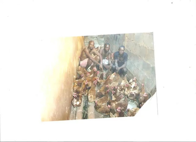 See Photos Of Thieves Arrested For Stealing 150 Chickens In Enugu This Festive Period