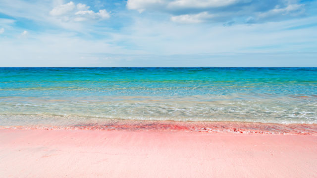 pink-sands-beach-sable-rose