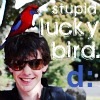 stupid lucky bird av