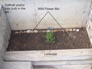 FrontPlanter