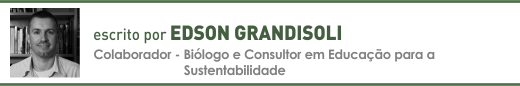 Clique aqui para ler mais sobre artigos de Edson Grandisoli