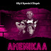 AUDIO l Killy X Nyanda X Singah - AMENIKAA l Download