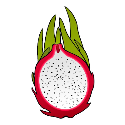 Pencil Sketch and Free Cartoon Images of Dragon Fruit