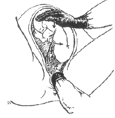 clip_image002[36]