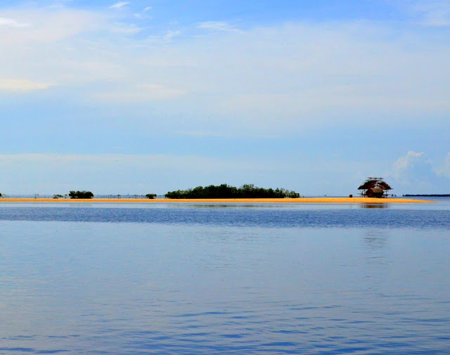 honda+bay+puerto+princesa+tour.jpg