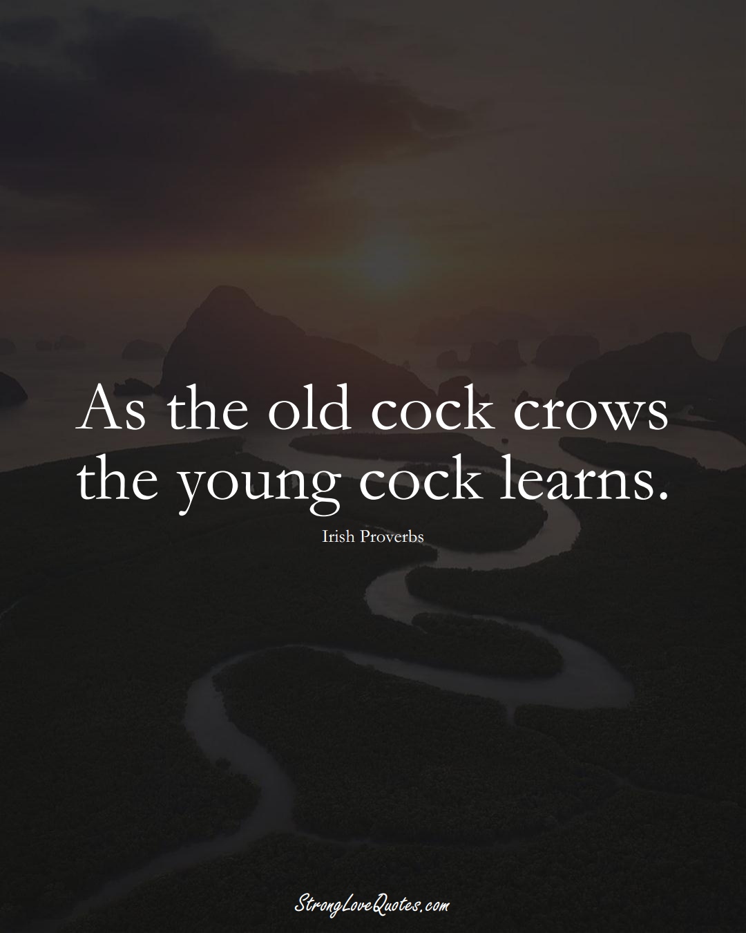 As the old cock crows the young cock learns. (Irish Sayings);  #EuropeanSayings