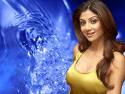 shilpa_shetty_twitter_profile