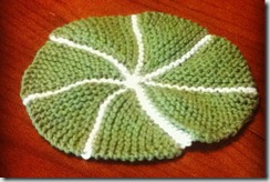 Citrus fruit dishcloth