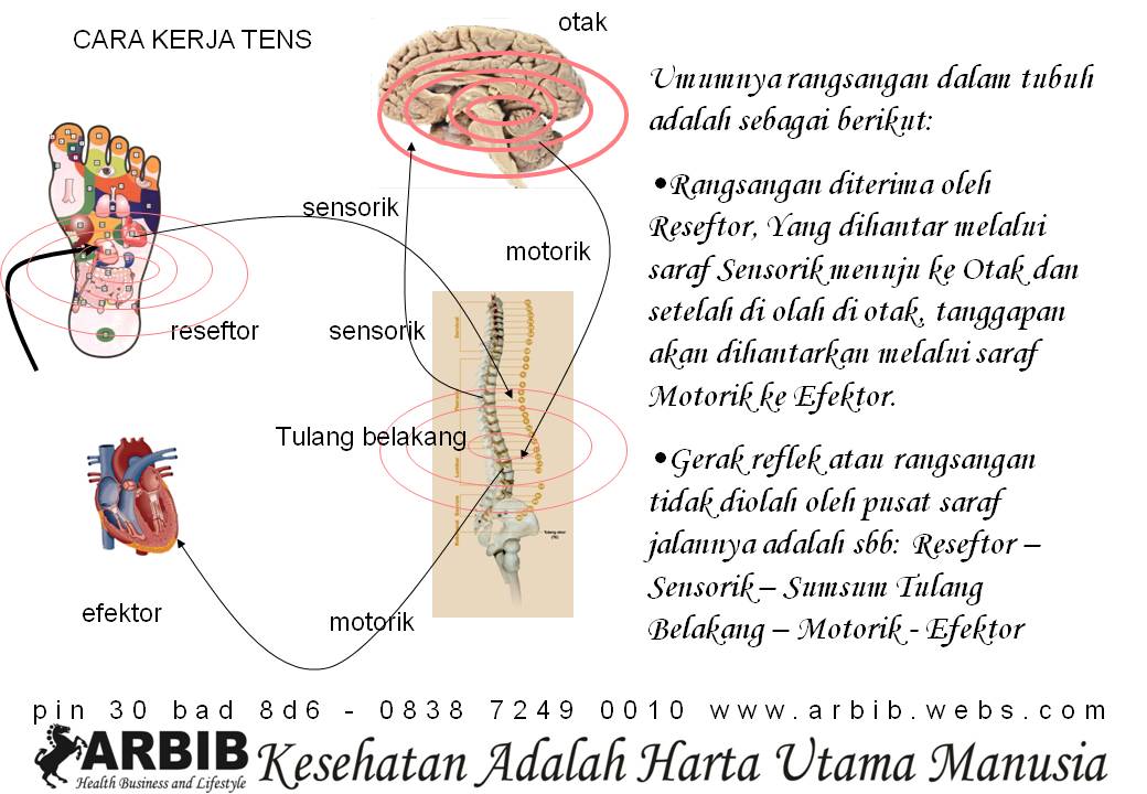 Info Pijat Jakarta Timur - Pijat Koo