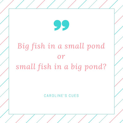 Caroline's Cues | Big fish in a small pond or small fish in a big pond?