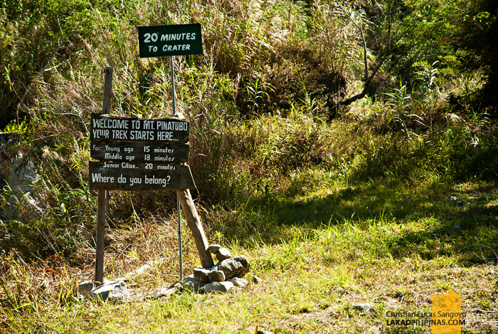 Mt. Pinatubo Trail