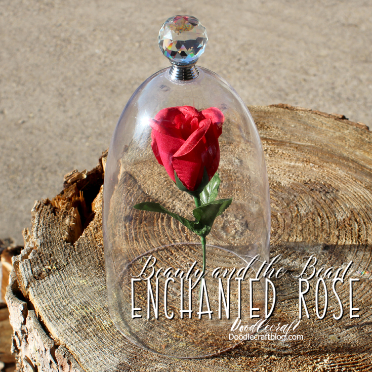 Beauty And The Beast Enchanted Rose In Cloche Diy