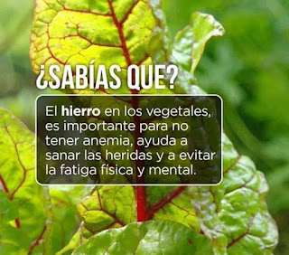 Curiosidades de alimentos