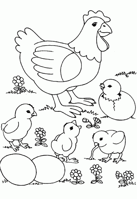 Desenhos de galinhas para pintar | desenhos para pintar e imprimir