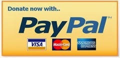 donate-paypal4