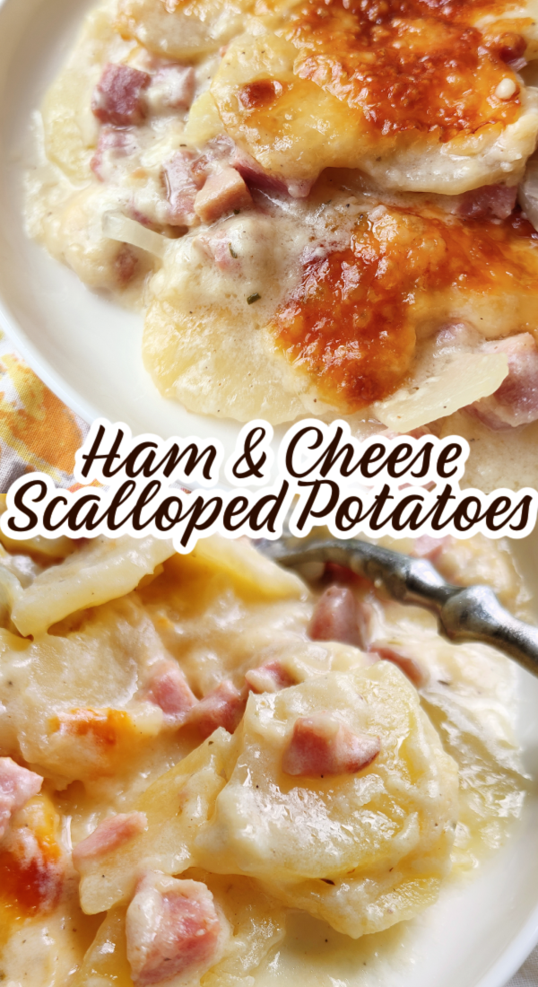 Ham & Cheese Scalloped Potatoes! Creamy scalloped potatoes from the BEST base recipe for a classic, homemade scalloped potato casserole plus leftover ham and swiss cheese.