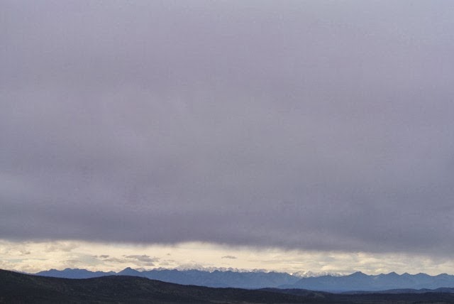 DSC_7458