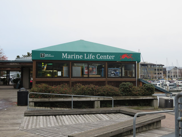 Marine Life Center