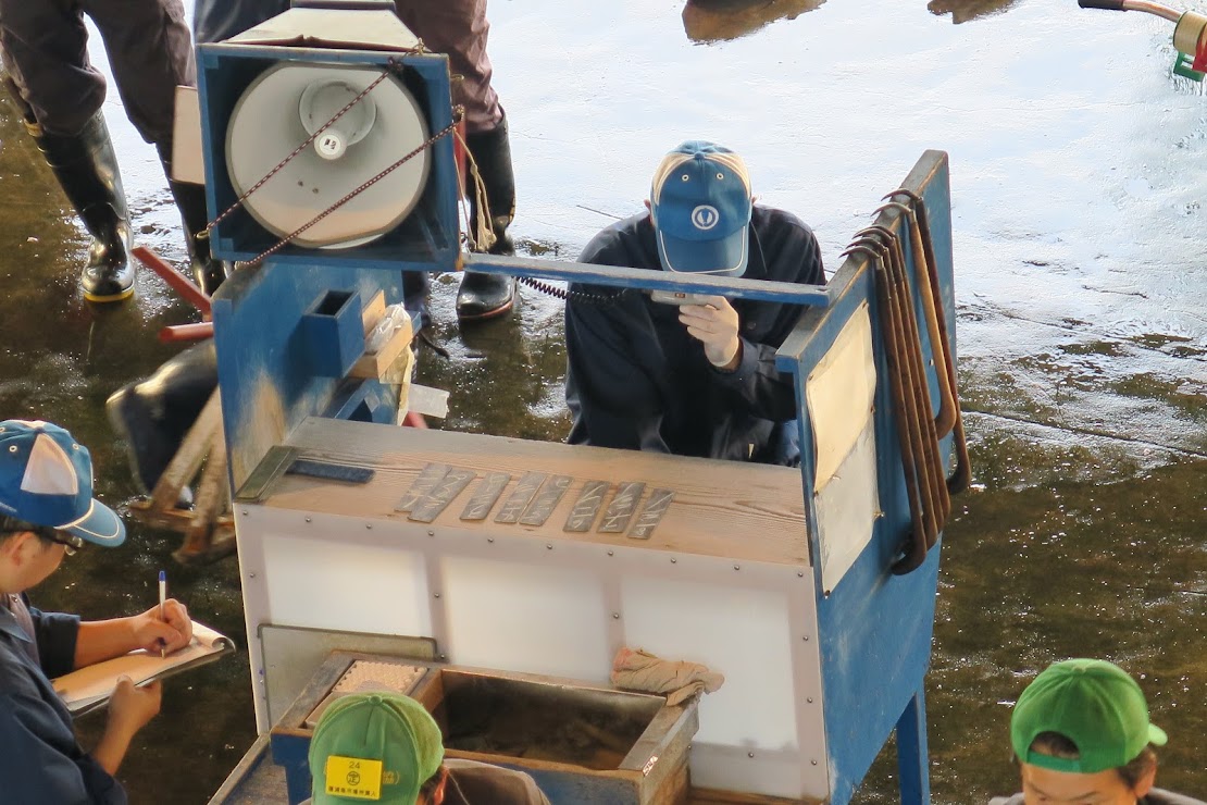Kii-Katsuura Fish Market Tuna Auction