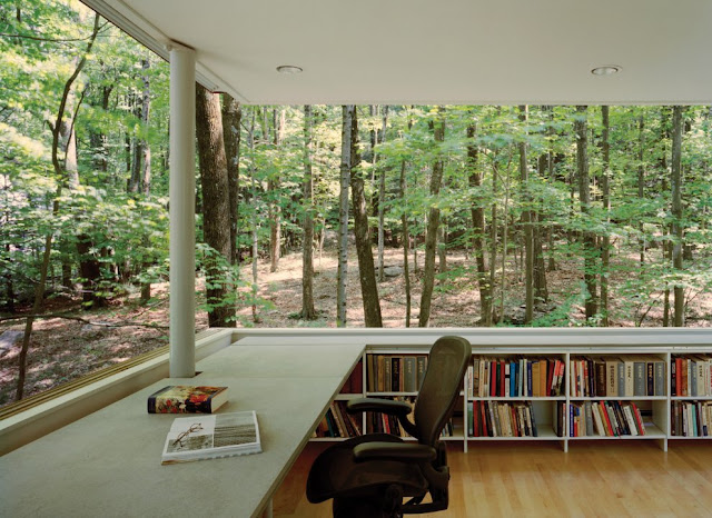 Private study library in the woods