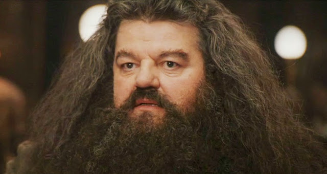 Harry Potter - Hagrid