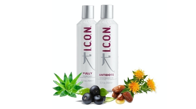 portada-antioxidants-icon