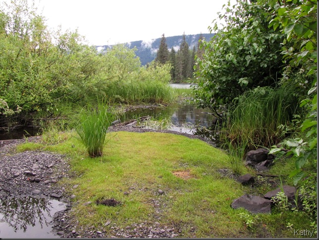 creek leading to lake