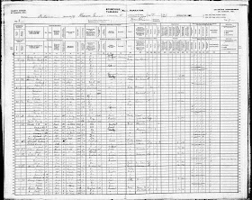 Clues You Can Find in a Census Record! 