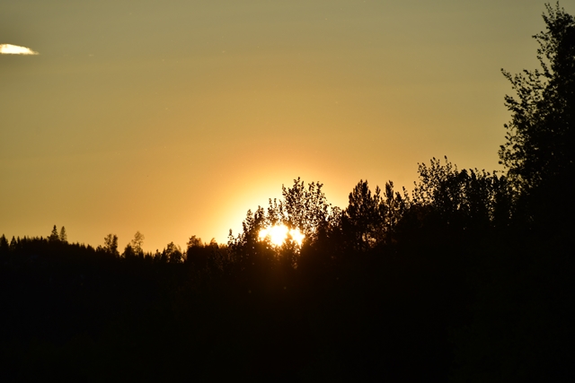 solnedgang næra