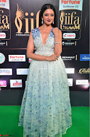 Vimala Raman in Spicy Deep Neck Sleeveless Dress at IIFA Utsavam Awards 2017  Day 2 at  30.JPG