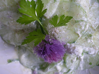 Salade de concombre au chèvre et fleur de ciboulette et ciboulail