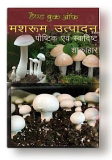 mushroom cultivation