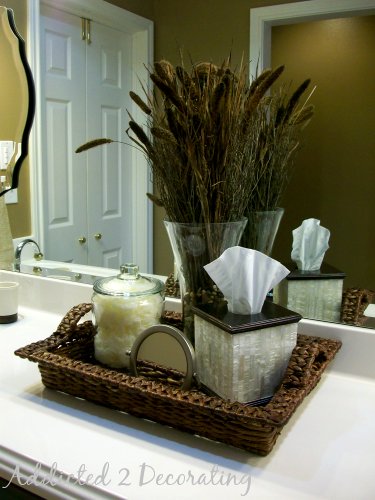 Gwen s Master Bathroom  Addicted 2 Decorating  