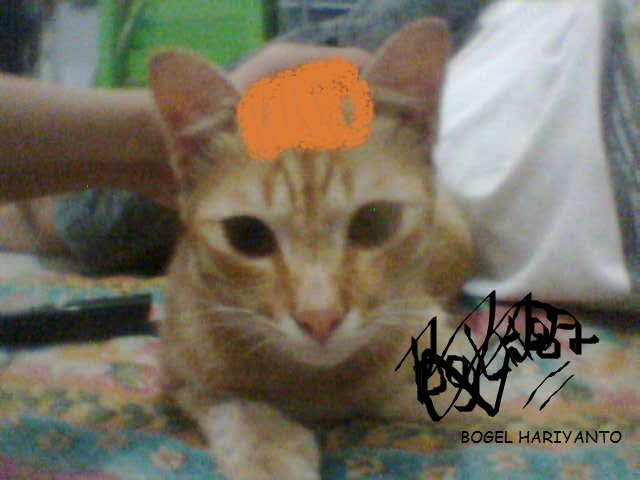 Meong Aooong : Hairstyle 2012 :p