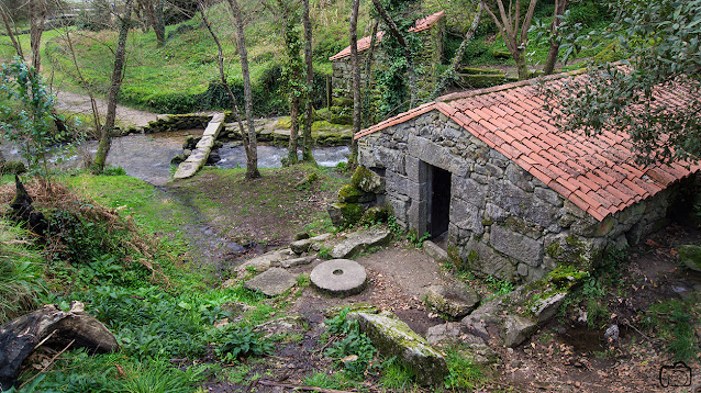 Ruta Muíños da Freixa hasta el Monasterio de Poio