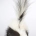 Skunk Removal and also Skunk Manage All around Your Home