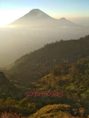 bukit sikunir dieng