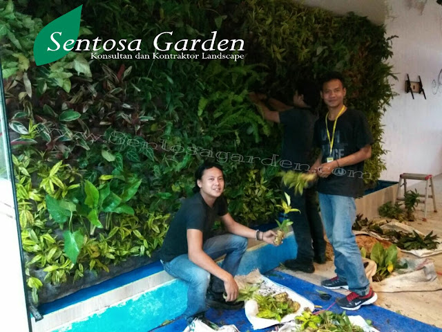 VERTICAL GARDEN JAKARTA | TUKANG TAMAN JAKARTA