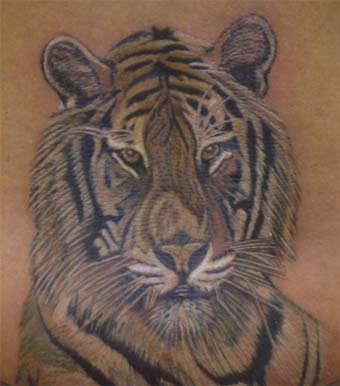 The Tiger Tattoo Portrait is courtesy of bizarre ink edinburgh from flickr
