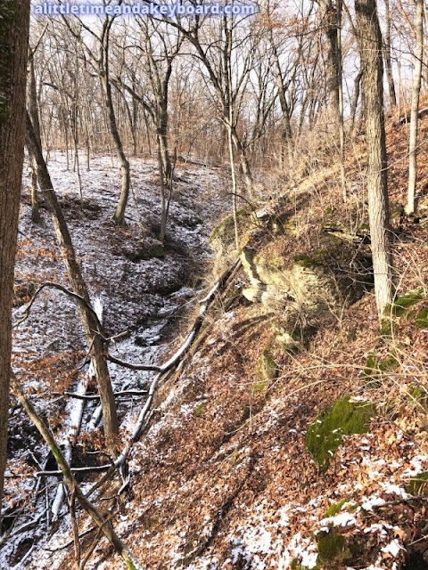 Snow dusting the ravine at Kishwaukee Gorge North Forest Preserve.