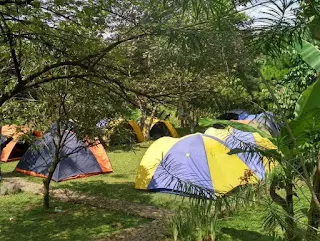 Paket Camping Murah di Villa Roso Mulyo Sentul