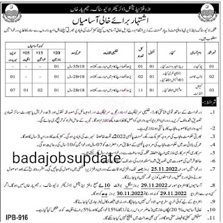 Livestock and Dairy Development Department Punjab jobs 2022