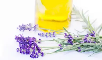 What To Expect After Castor Oil Pack