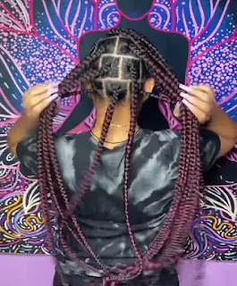 Box Braids With Heart on Its Side